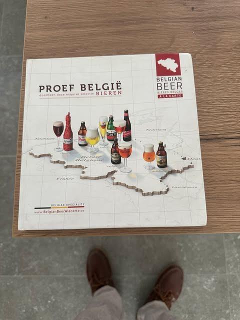 dégustez de la bière belge belge à la carte, Collections, Enlèvement ou Envoi, Comme neuf, Autres types, Duvel