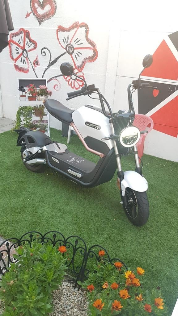 electric scooter, Ophalen