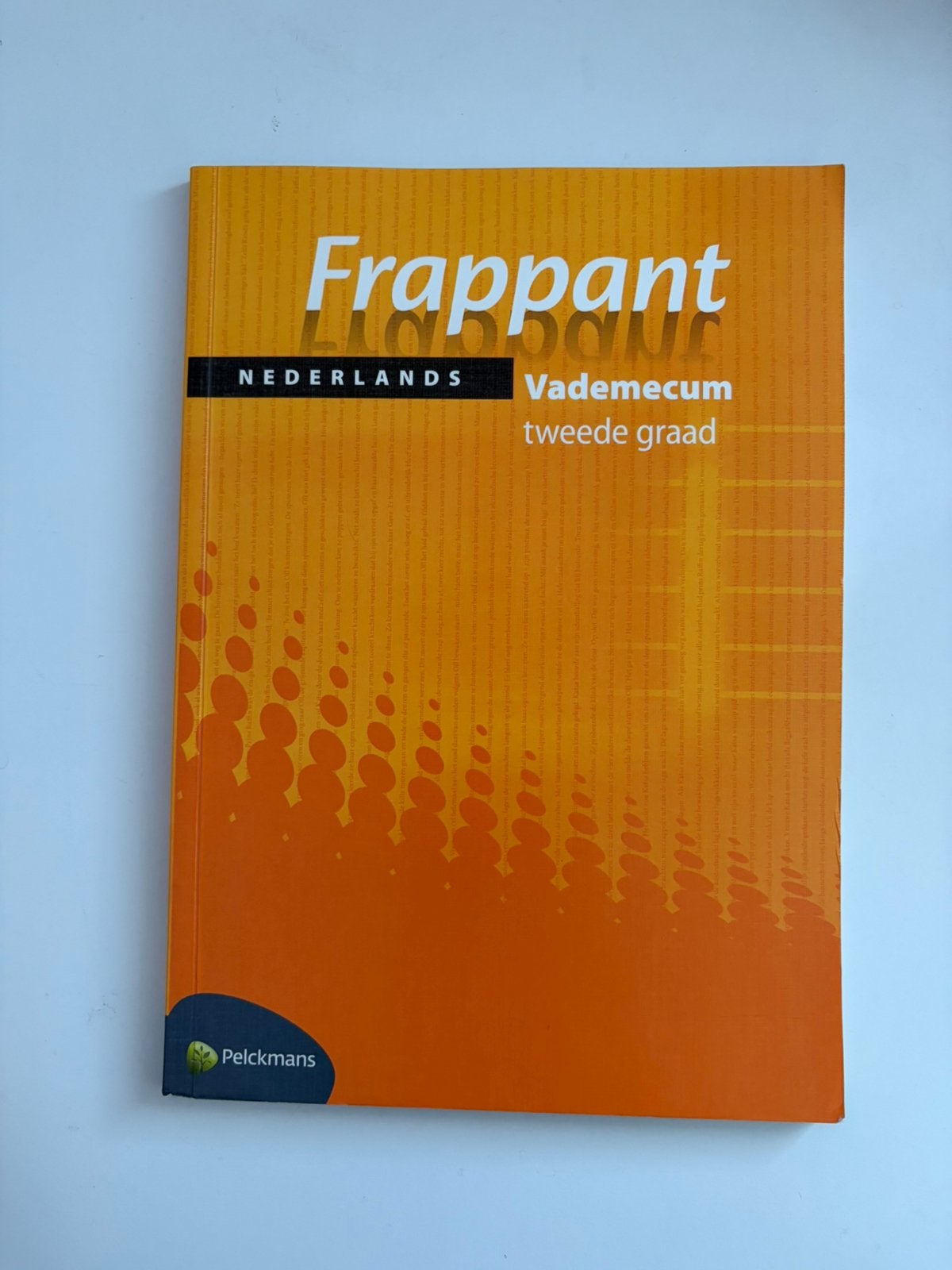 Vademecum tweede graad Frappant (ISBN 978-90-289-7002-1), Boeken, Ophalen of Verzenden, Zo goed als nieuw