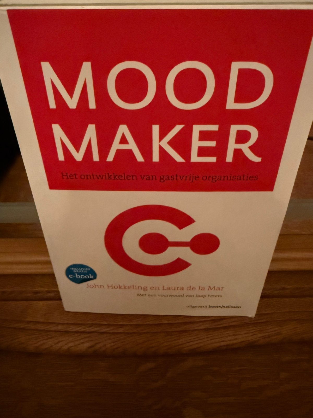 Laura de la Mar - Mood maker, Ophalen of Verzenden, Laura de la Mar; Jan Hokkeling