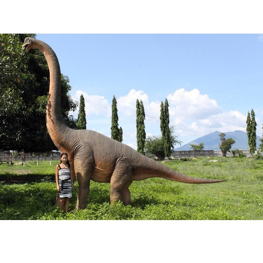 Brachiosaurus – Dinosaurus beeld Hoogte 472 cm