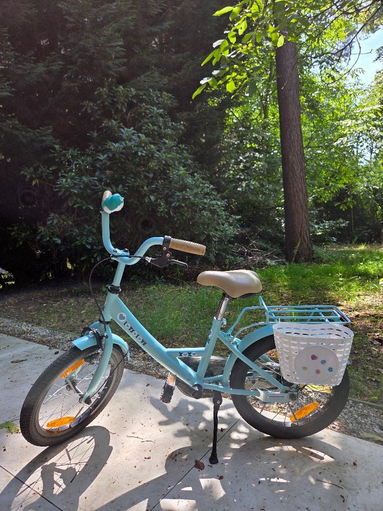 Kinderfiets 16 inch (meisje), Ophalen, Terugtraprem, Zijwieltjes, BikeFun Kids (BFK)