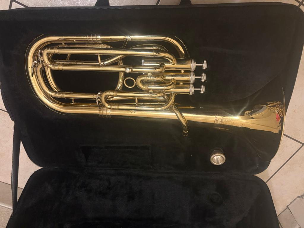Bariton/Tenorhoorn, Muziek en Instrumenten, Ophalen of Verzenden, Zo goed als nieuw, Bes-hoorn, Met koffer