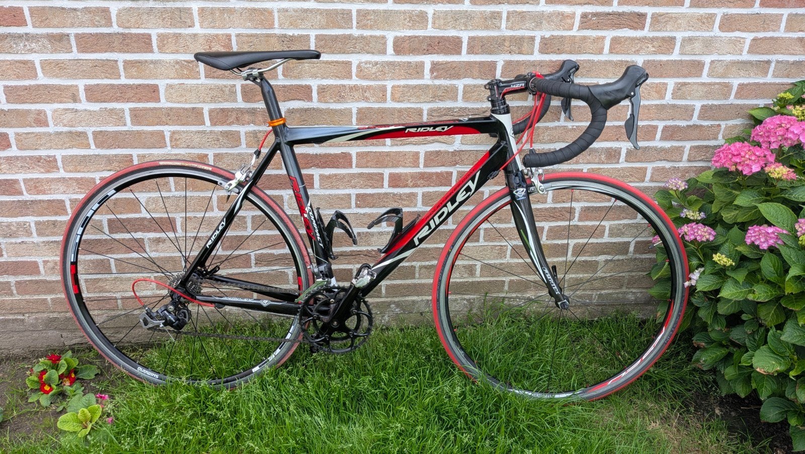 Ridley compact, Enlèvement