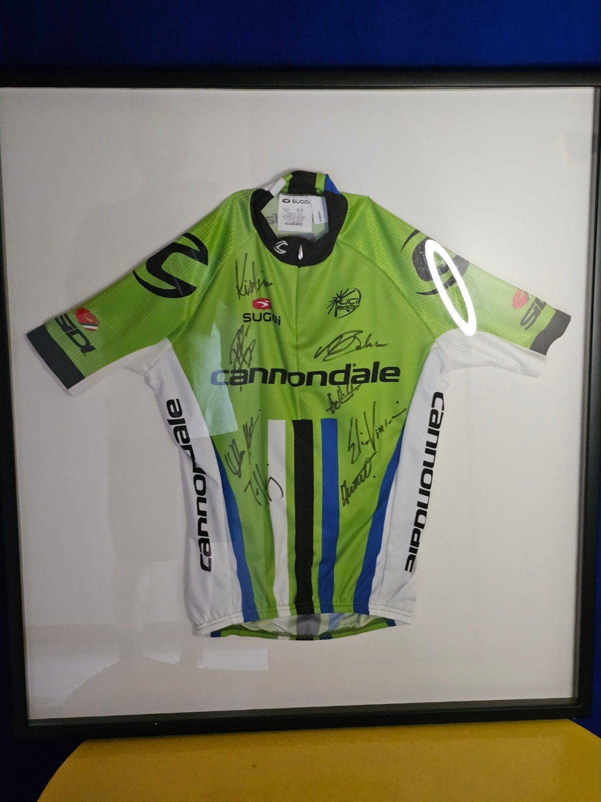 Peter Sagan - Maillot de cyclisme signé par ses coéquipiers, Enlèvement