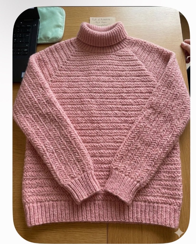 Pull tricoter à la main  pour les saisons automne hiver, Neuf, Autre, Taille 38/40 (M), Enlèvement ou Envoi