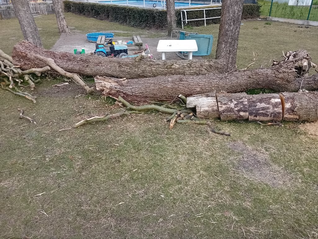 Brandhout, Enlèvement