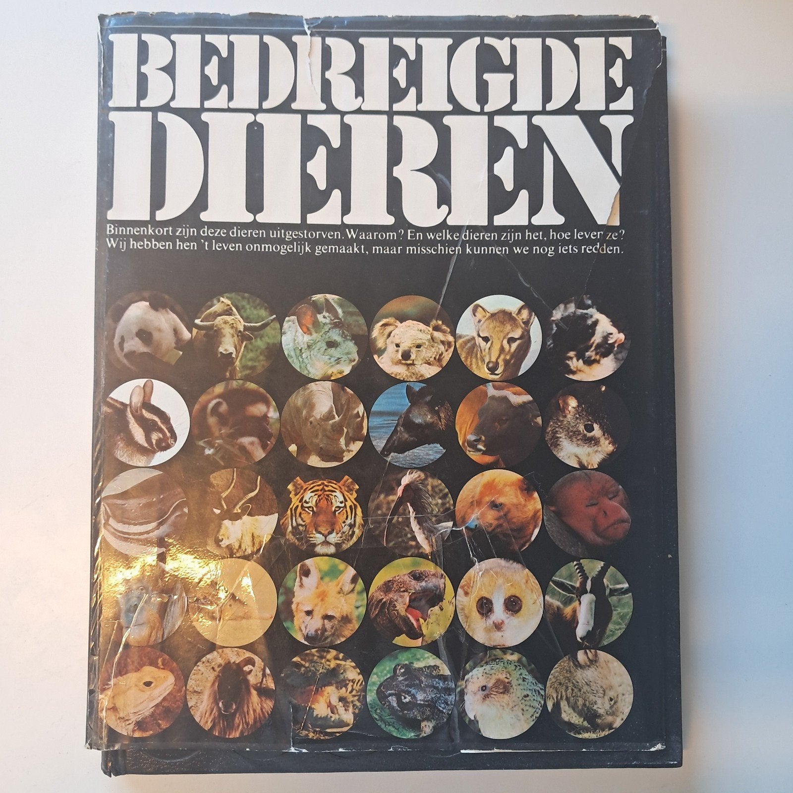 bedreigde dieren boek, Boeken, Ophalen of Verzenden, Gelezen, Natuur algemeen