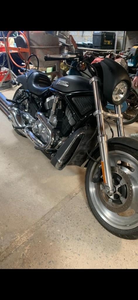 Moto V-stang 1200cc, Motoren, Motoren | Harley-Davidson, 2 cilinders, Occasion, Particulier, 1200 cc