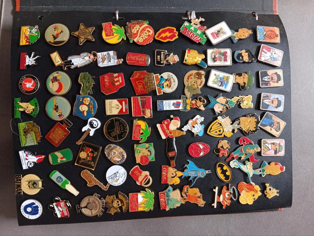 Pins, Enlèvement