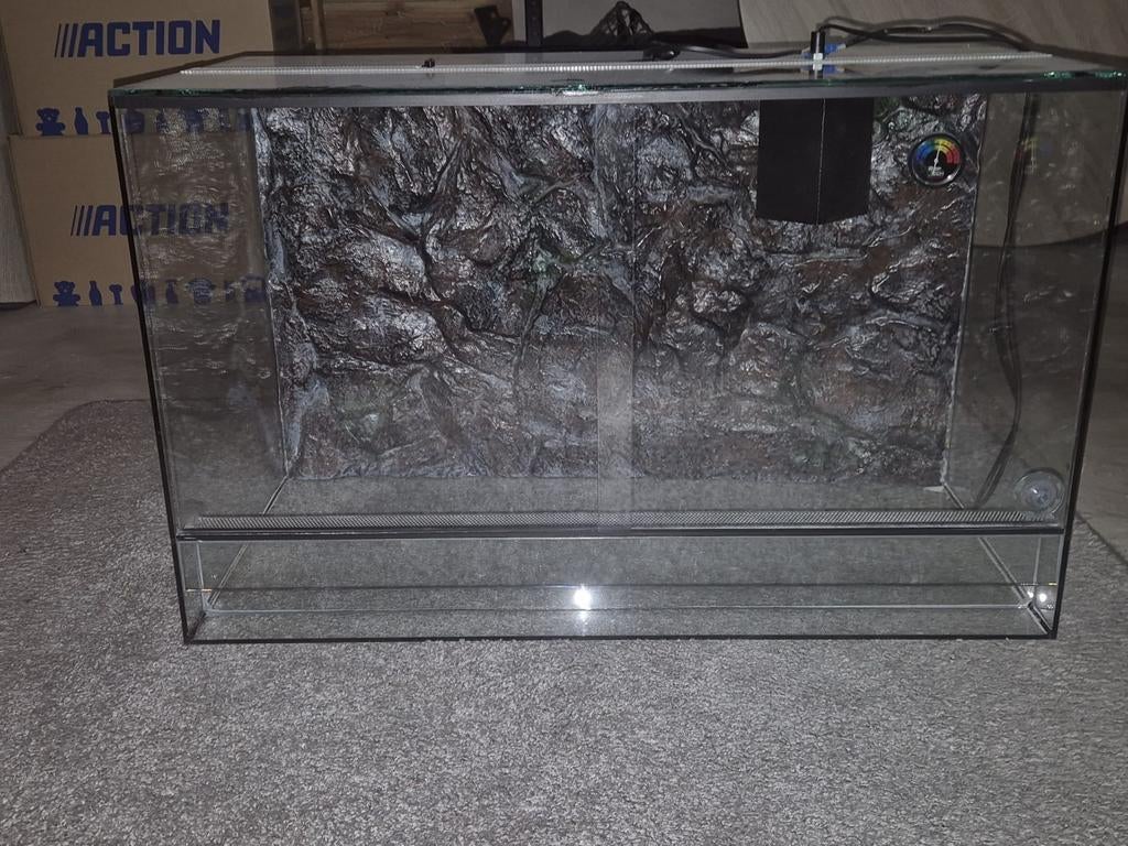 Terrarium, Enlèvement