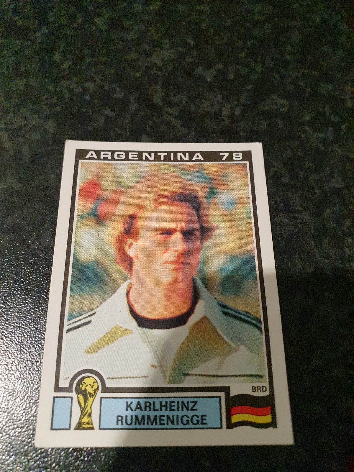 Argentina 78 Panini, Envoi