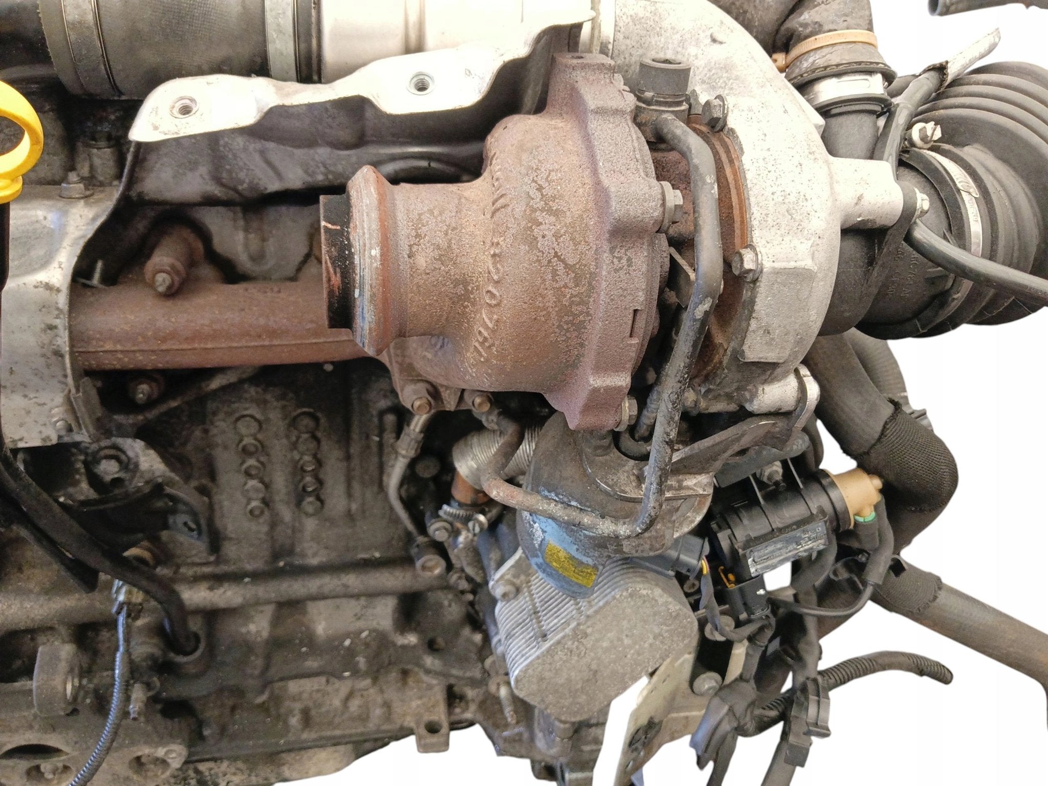 Moteur AEDA Complet FOCUS FORD, Envoi, Utilisé, Skoda