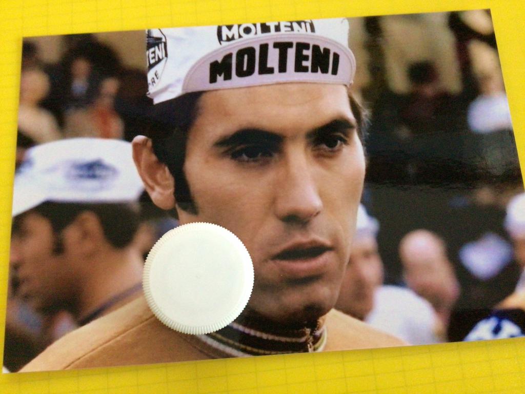 wielerfoto  team molteni  eddy merckx, Verzenden, Zo goed als nieuw