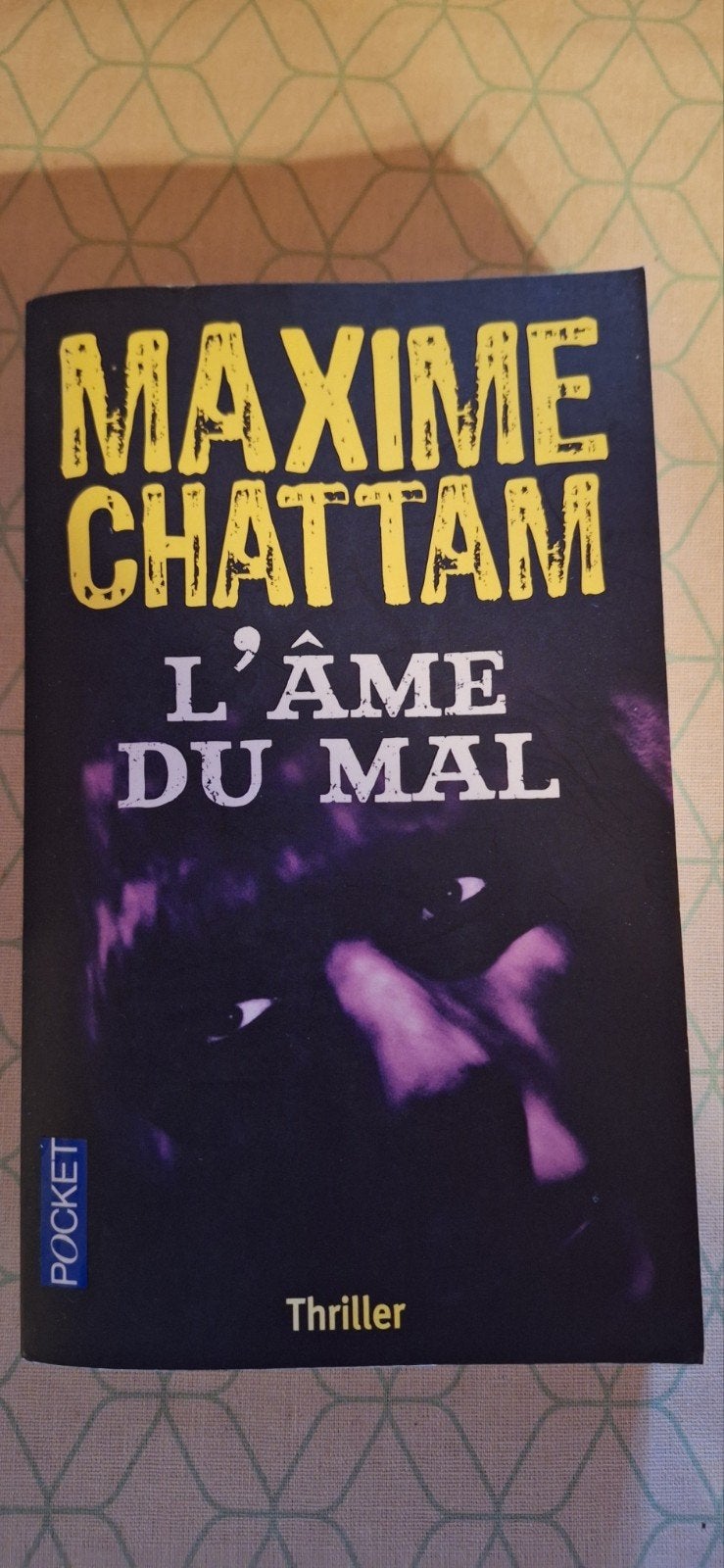 L'âme du mal, Livres, Enlèvement