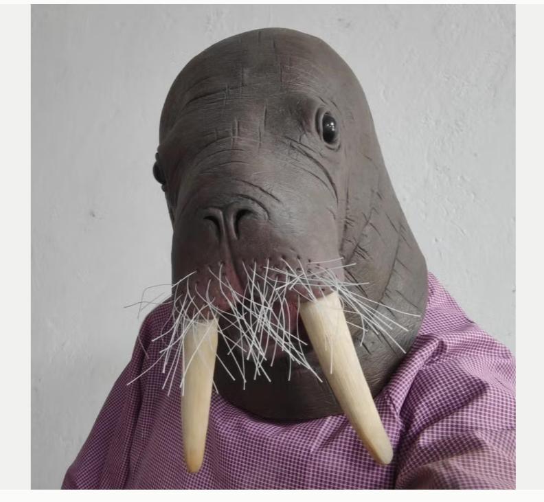 Masque intégral en latex pour otaries et morses, Envoi, Neuf