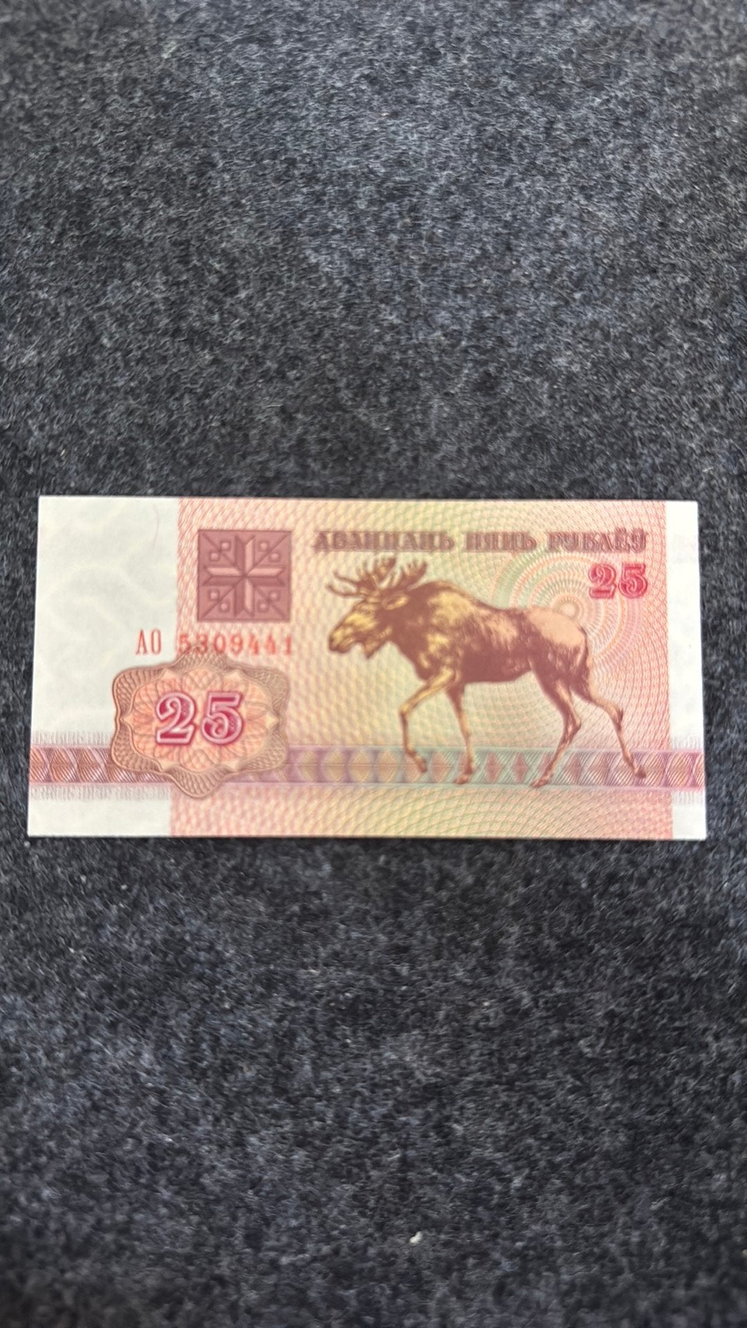 25 Wit-Russische roebel UNC, Verzenden