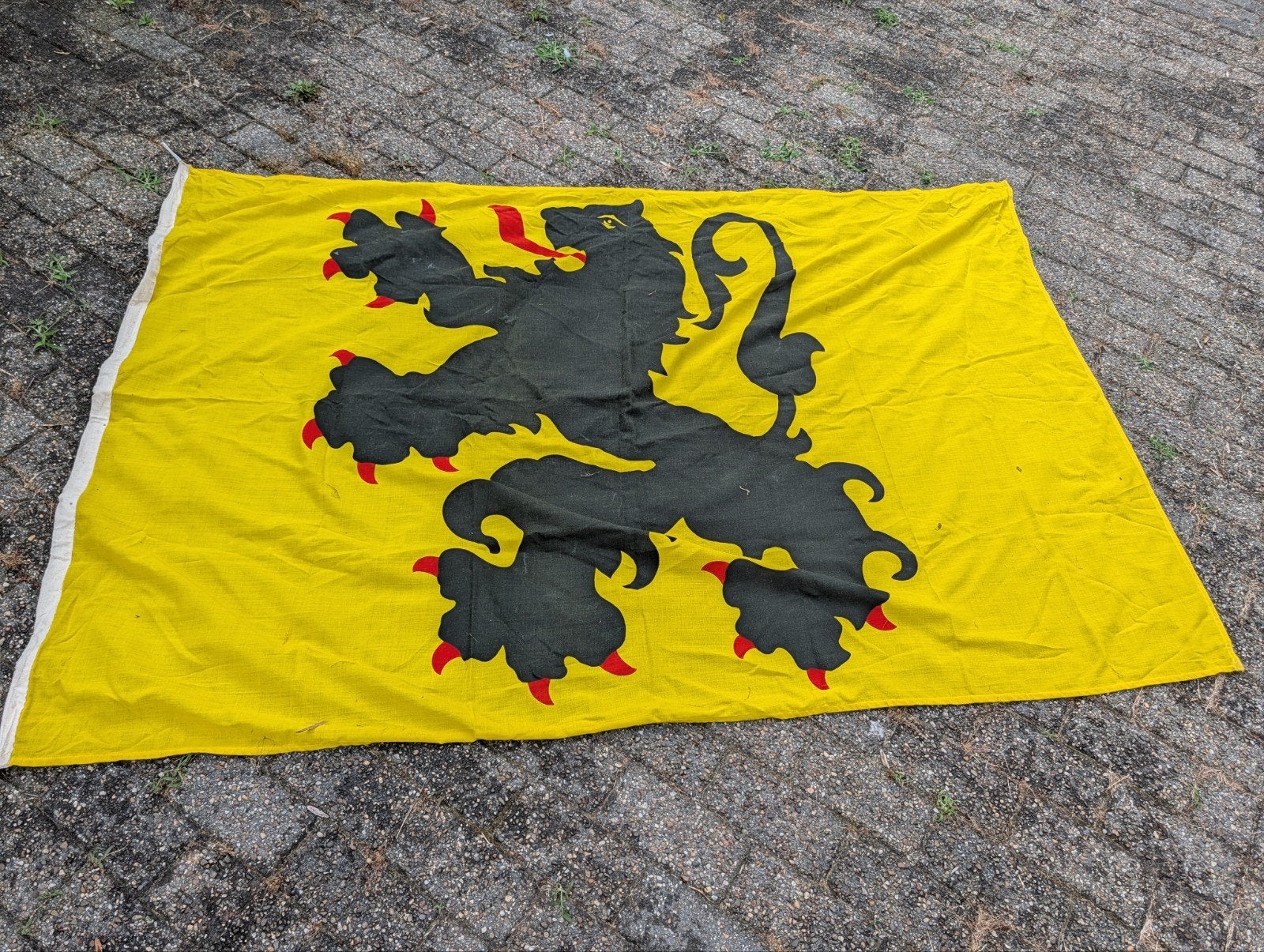 Vlag Vlaamse leeuw, Ophalen