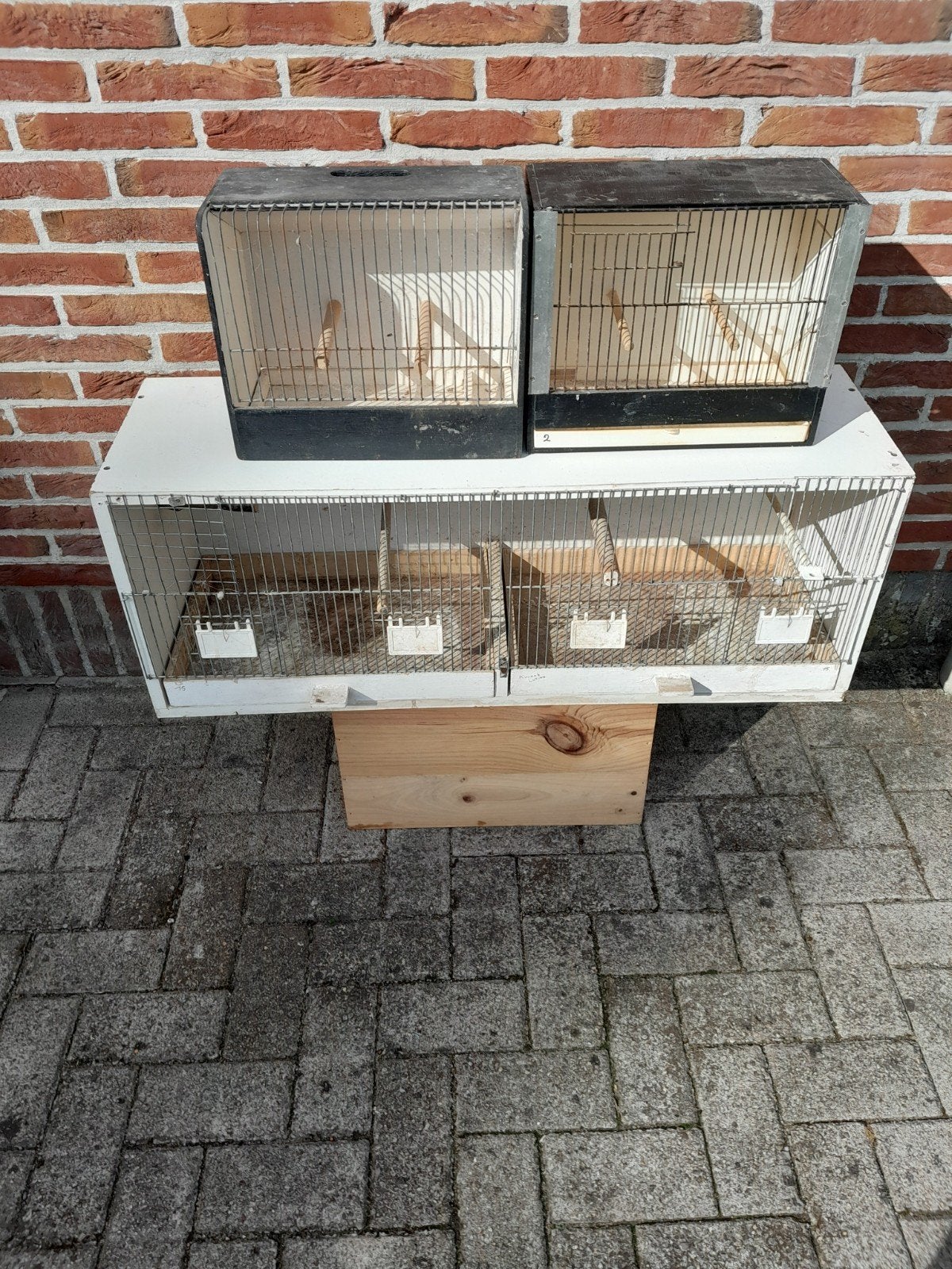 Gratis vogelkooien, Dieren en Toebehoren, Ophalen