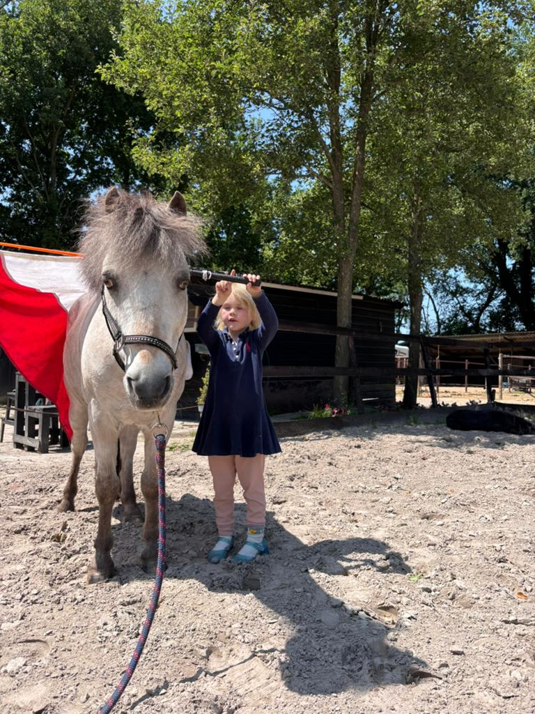 Liefste A kinderpony Pikachu, Dieren en Toebehoren, Pony's