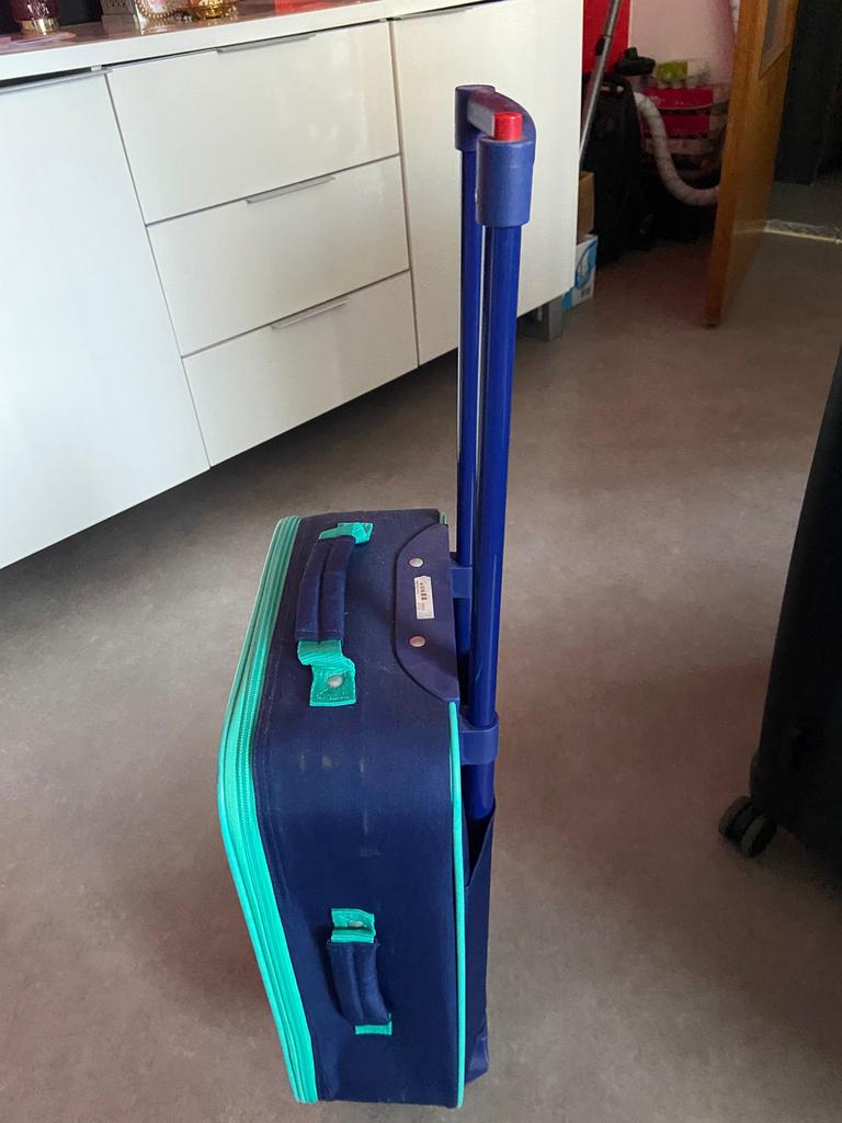 Valise pour enfant Dinosaur Dig, 35 à 45 cm, Enlèvement, Utilisé, 60 à 70 cm