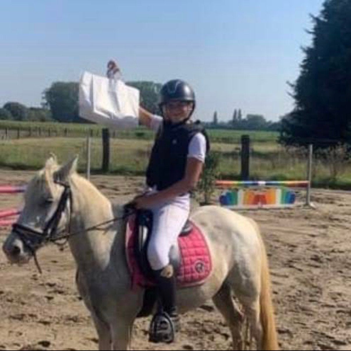 Cream te koop, Merrie, Zadelmak, B pony (1.17m tot 1.27m), 11 jaar of ouder