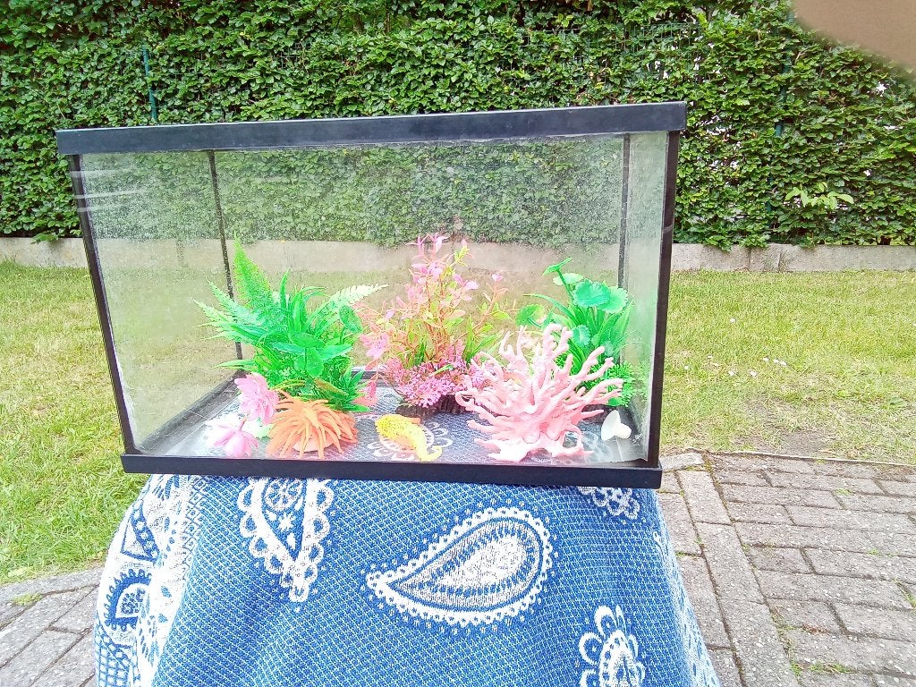 Glazen Aquarium voor vissen, Ophalen, Gebruikt, Leeg aquarium, Overige merken
