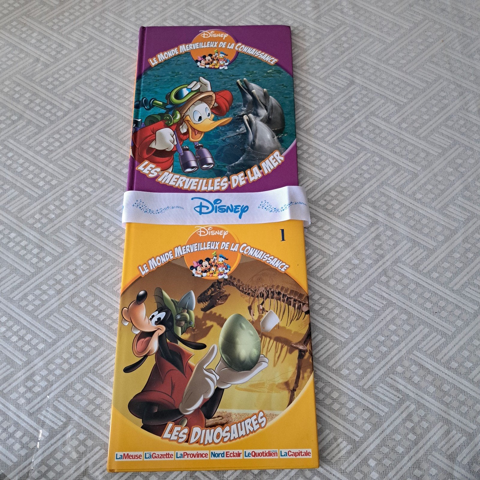 2 Boeken De wondere wereld van kennis Disney, Boeken, Ophalen, 5 of 6 jaar, Jongen of Meisje, Walt Disney
