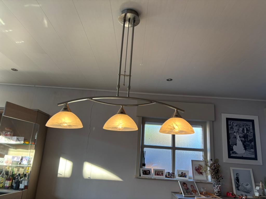 Hanglamp, Enlèvement, Comme neuf