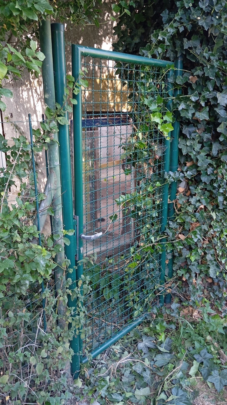 portillon de jardin, Enlèvement