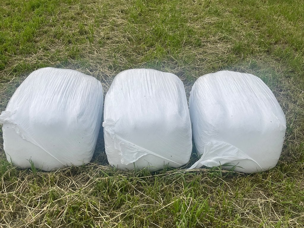 Kleine balen voordroog, Enlèvement