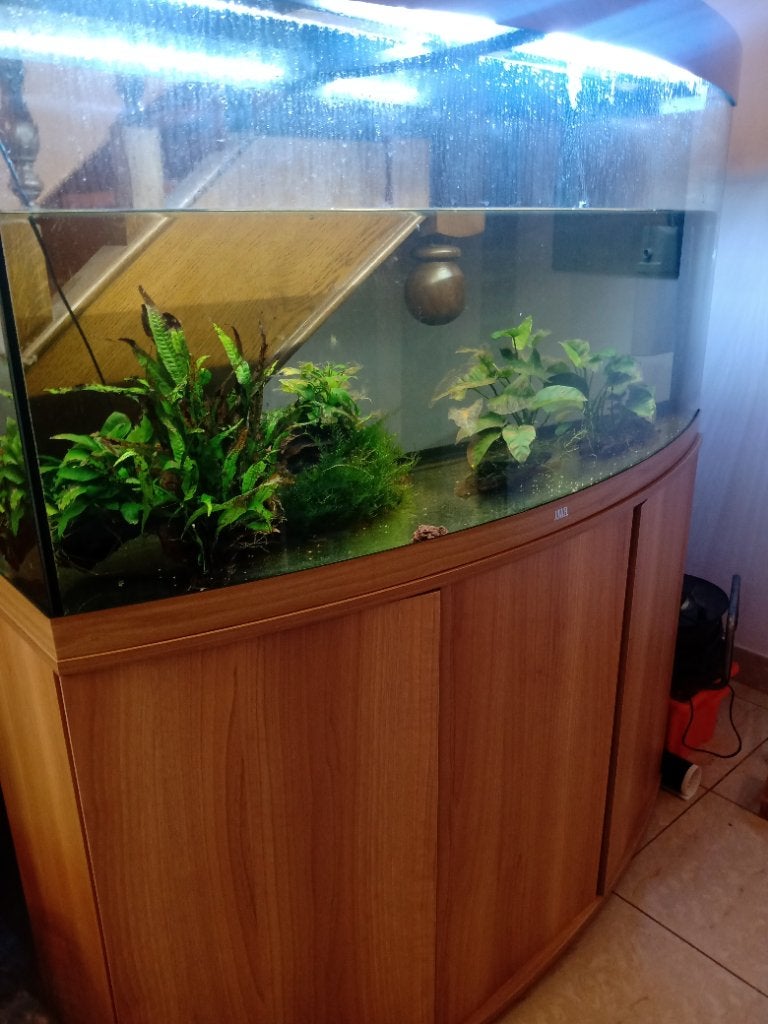 Juwel aquarium (260l), Animaux & Accessoires, Enlèvement, Pompe, Utilisé, Juwel
