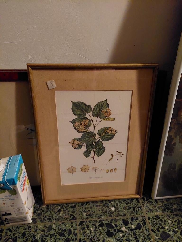 Goud kadertje, Huis en Inrichting, Woonaccessoires | Lijsten, Ophalen