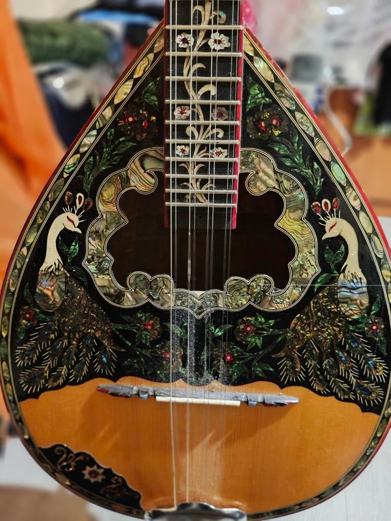 BOUZOUKI Pour proffessionels., Musique & Instruments, Instruments à corde | Autre, Enlèvement