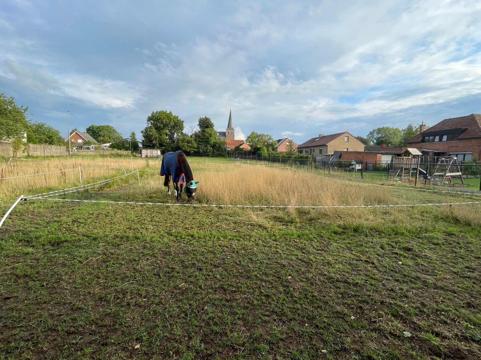 Weidemaatje gezocht/ stalling aangeboden, Dieren en Toebehoren, Weidegang