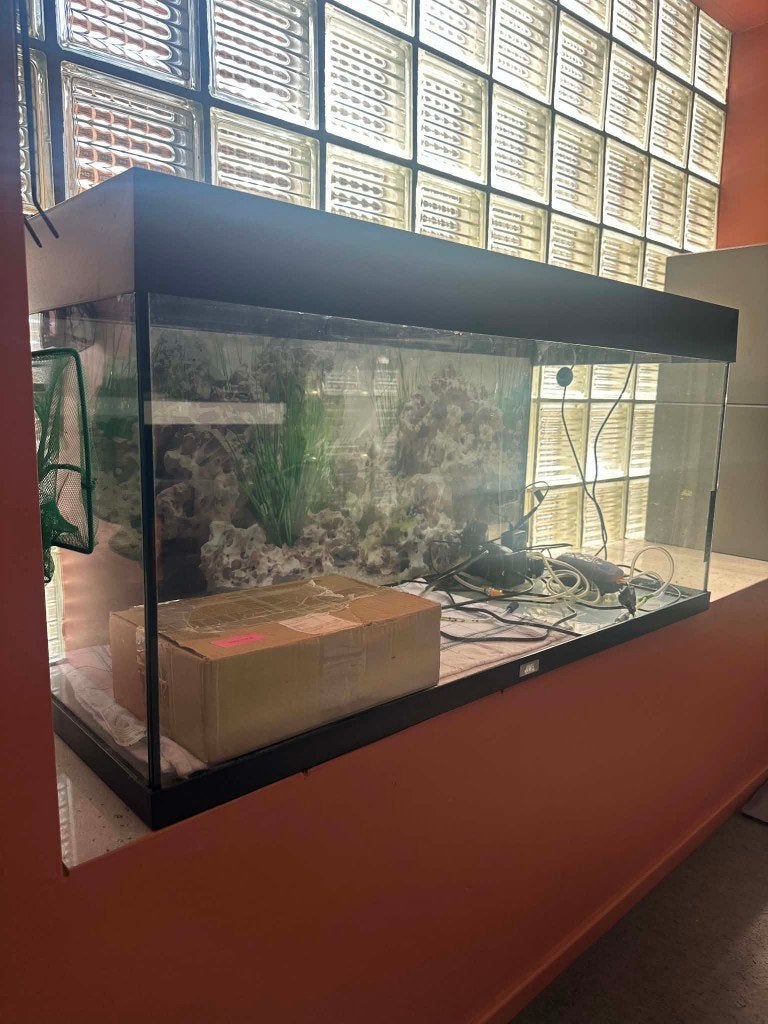 Aquarium Totaal Pakket, Dieren en Toebehoren, Vissen | Aquaria en Toebehoren, Ophalen, Gebruikt, Inclusief deksel, Overige typen