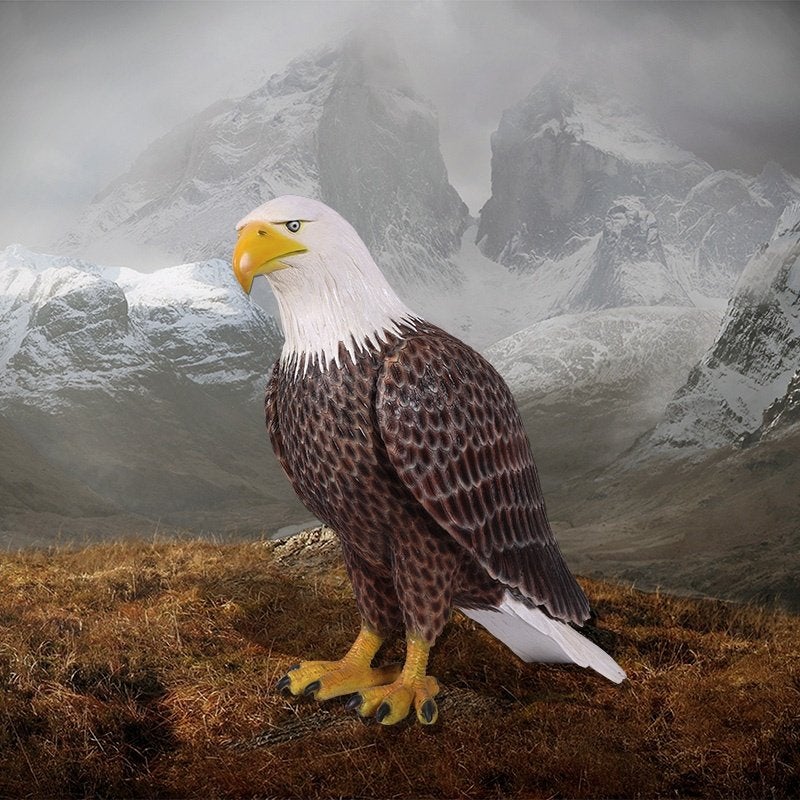 Amerikaanse zeearend — Hoogte  arend 99 cm, Ophalen, Nieuw