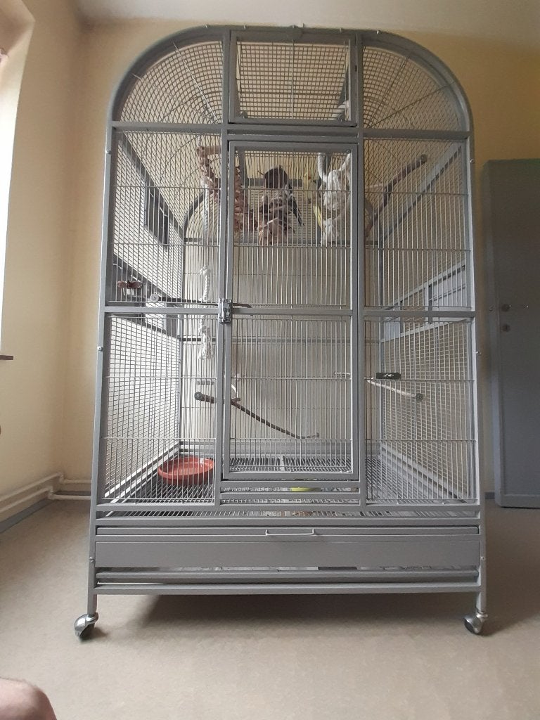 Cage à oiseaux sur roulettes, Animaux & Accessoires, Oiseaux | Accessoires, Enlèvement, Comme neuf, Autres types