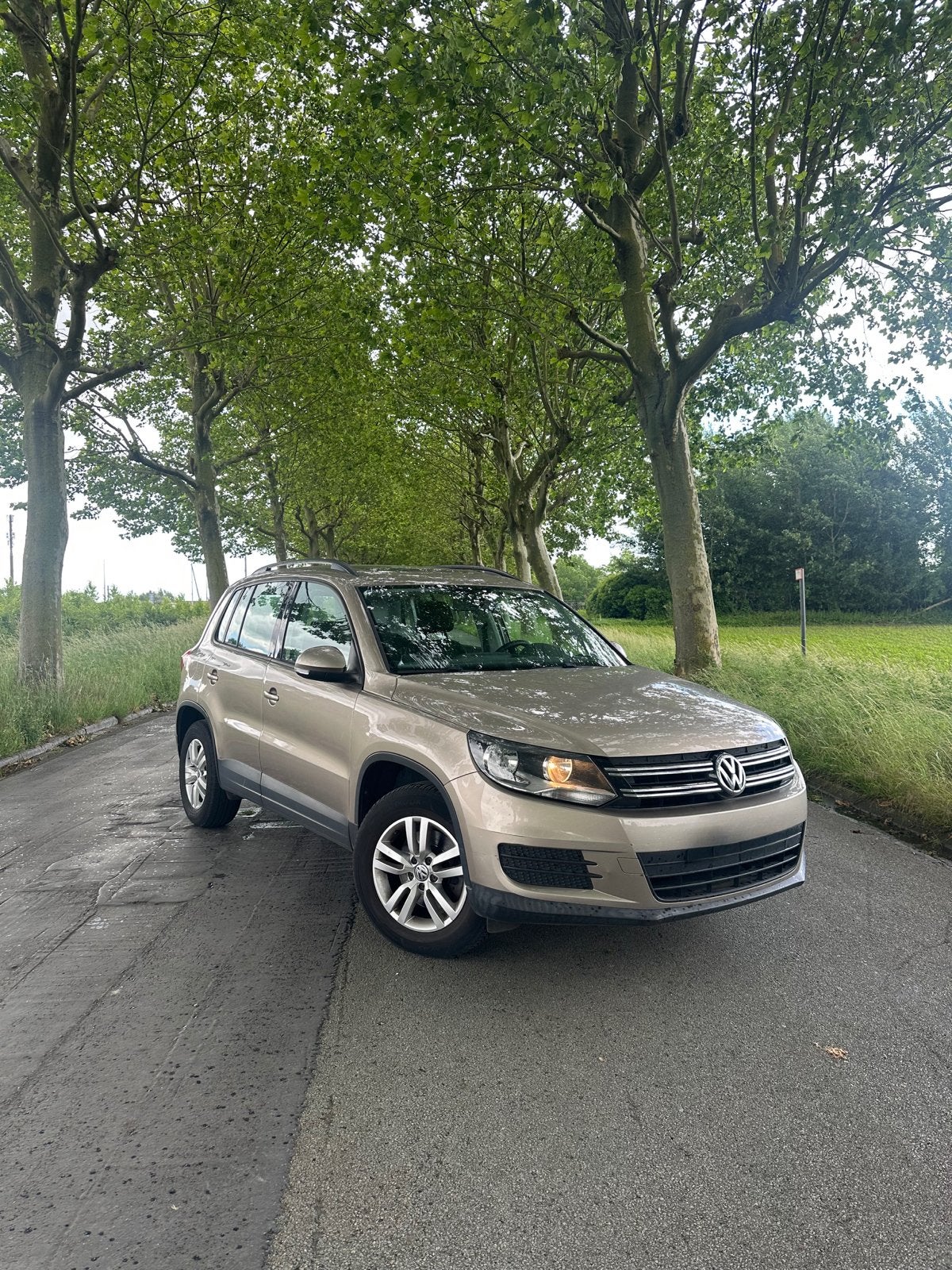 Volkswagen Tiguan 1.4TSI/88.000km/Carplay/Opendak/Airco, Autos, Volkswagen, Euro 5, Achat, Entreprise, Autres couleurs