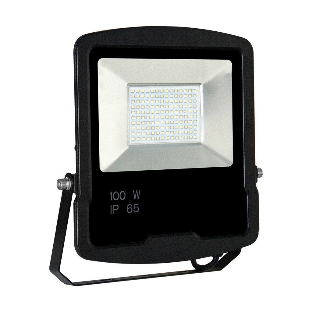 LED Schijnwerper 100W 230V, Verzenden