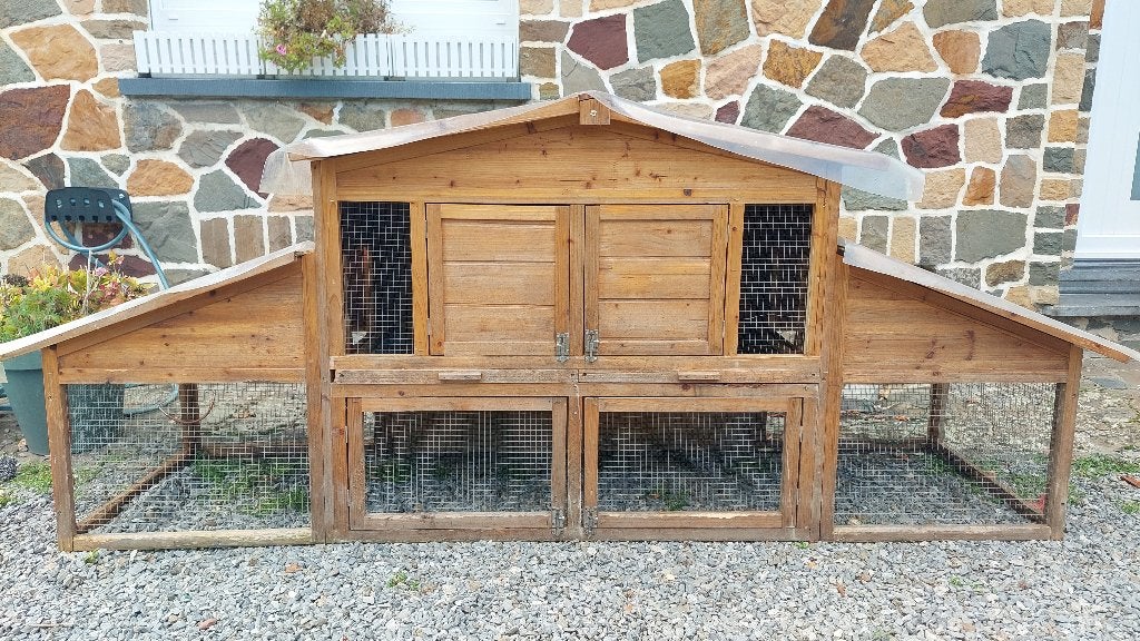 Clapiers, Animaux & Accessoires, Enlèvement, Lapin