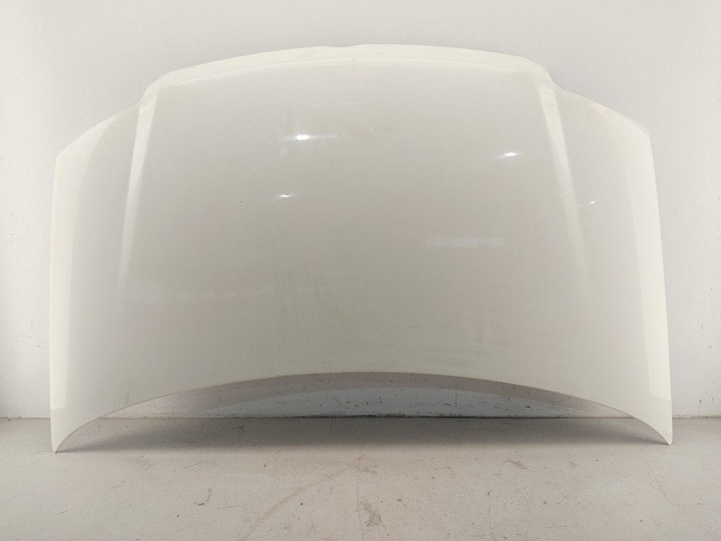 CAPOT Fiat Panda (169) (|46827037|51876323|), FCA Germany GmbH, IPC D1-09 Bahnhofsplatz
65423  Rüsselsheim am Main, DE, Utilisé