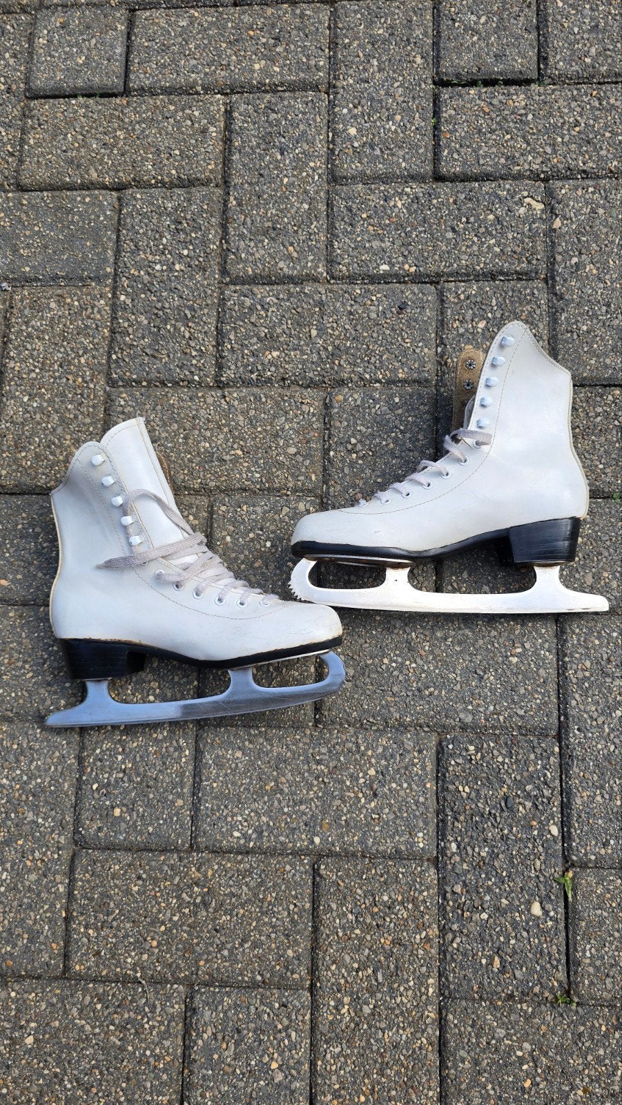 schaatsen Maat 39, Ophalen, Gebruikt, Kunstschaatsen