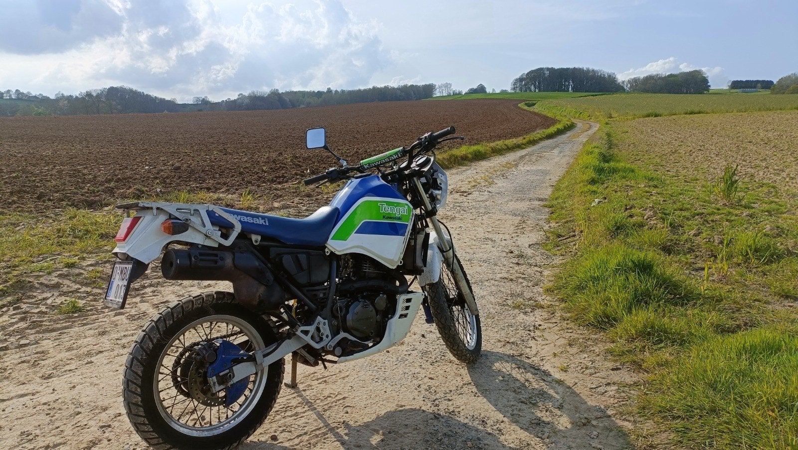 KAWASAKI KL650A -1990, Motos, Occasion, Particulier, Permis Moto A2 minimum, 650 cm³