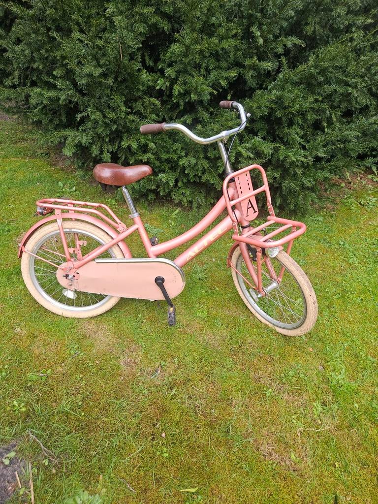 Fiets 20 inch, Fietsen en Brommers, Ophalen, 20 inch