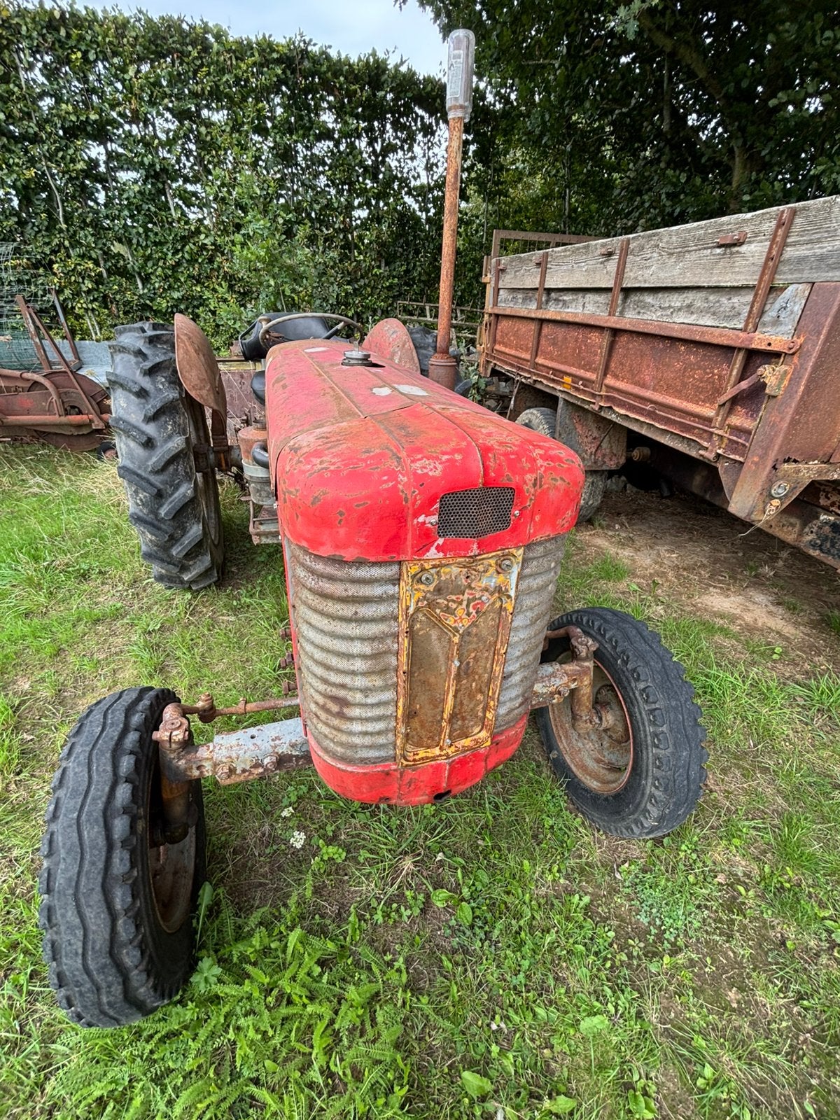 Massey ferguson mf65, Zakelijke goederen, Ophalen of Verzenden, Massey Ferguson