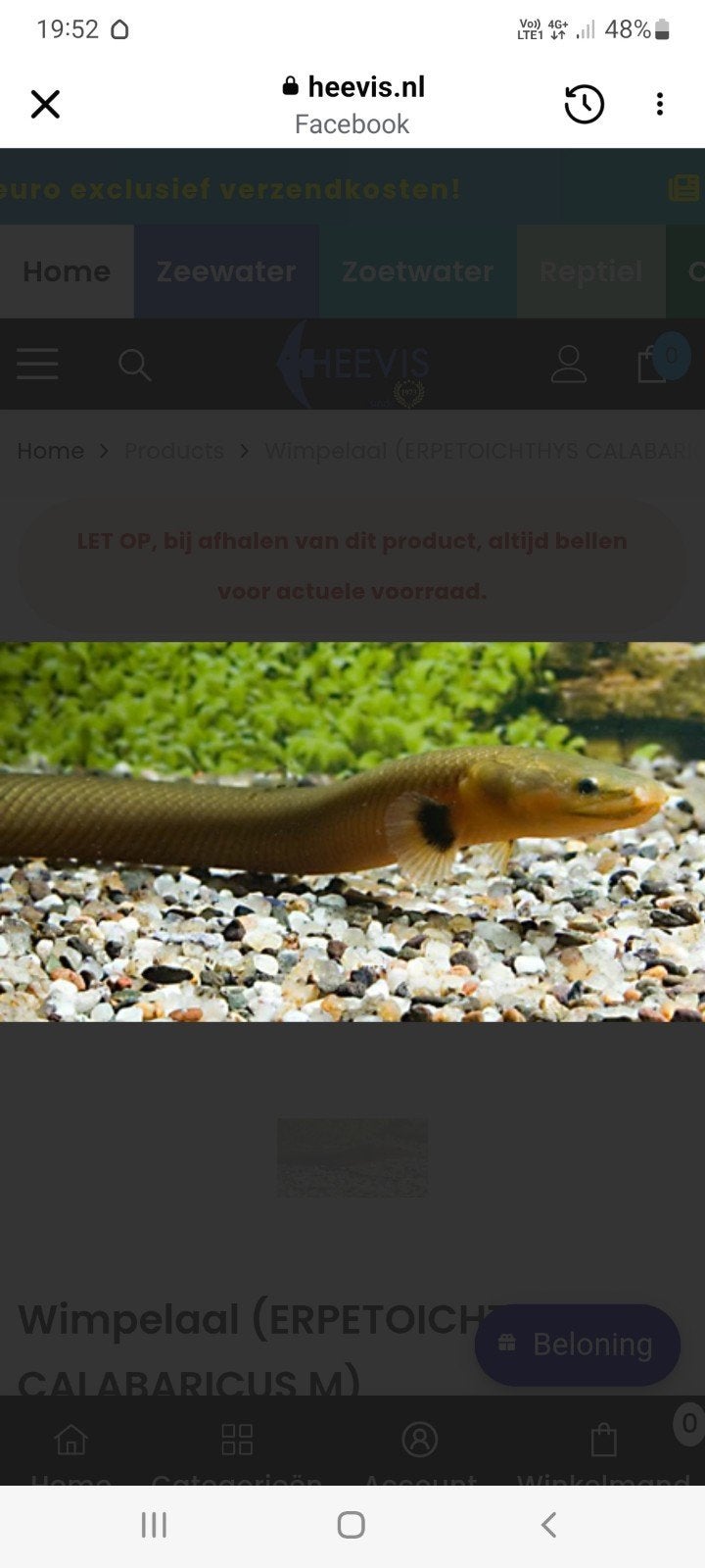 Gratis rietslang voor aquarium, Dieren en Toebehoren