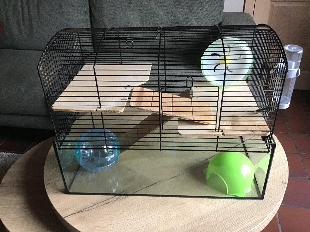 Hamsterkooi, Dieren en Toebehoren, Kooi, Gebruikt, Ophalen, Minder dan 60 cm