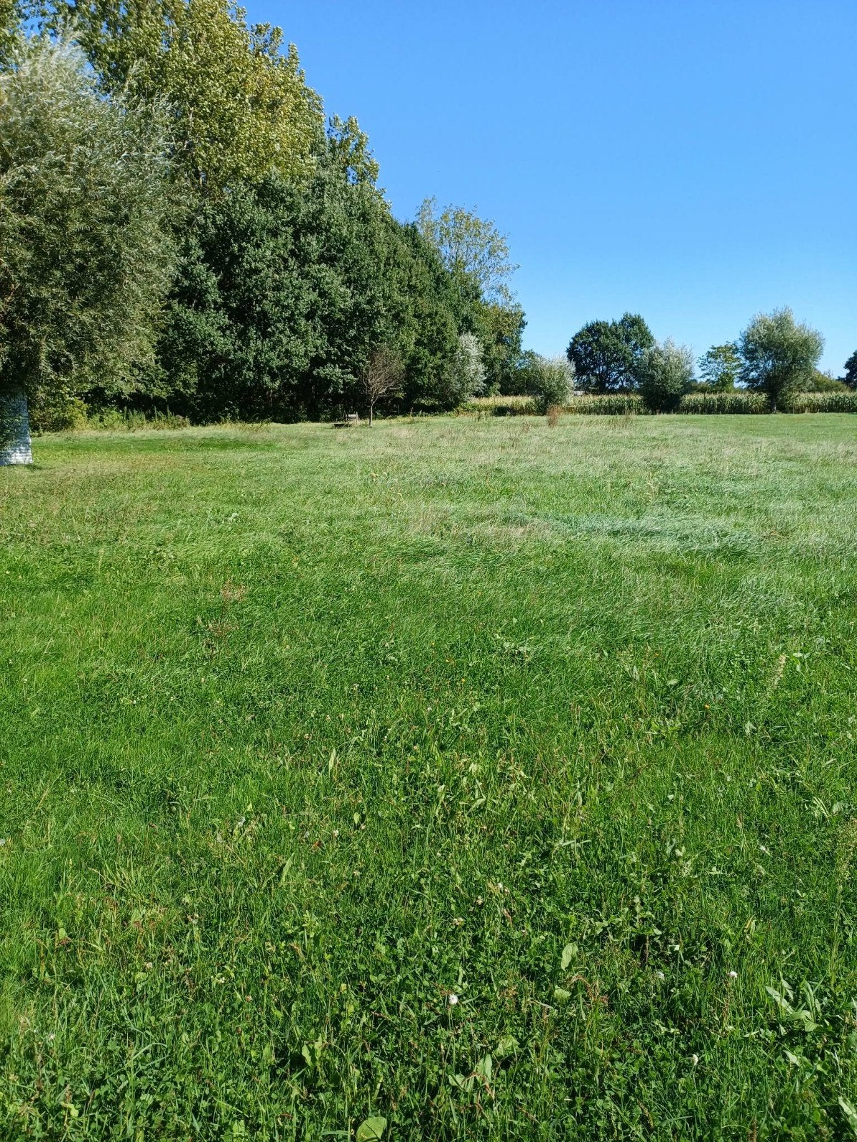 weiland te huur, Dieren en Toebehoren