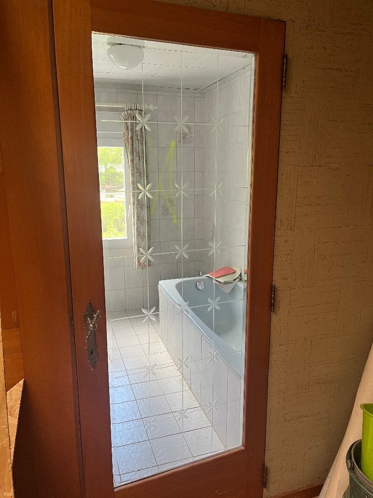 Deur met glas, Ophalen, Minder dan 80 cm, Binnendeur, Zo goed als nieuw